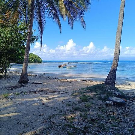 T1 Bis A Proximite De La Plage Le Gosier  Dış mekan fotoğraf