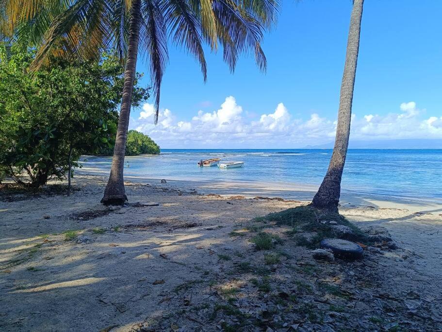 T1 Bis A Proximite De La Plage Le Gosier  Dış mekan fotoğraf