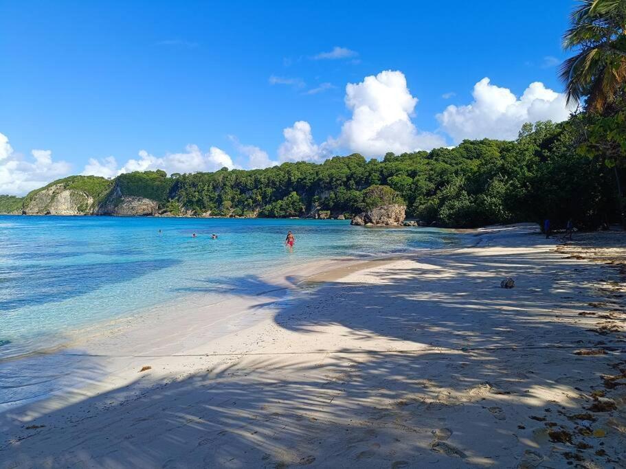 T1 Bis A Proximite De La Plage Le Gosier  Dış mekan fotoğraf